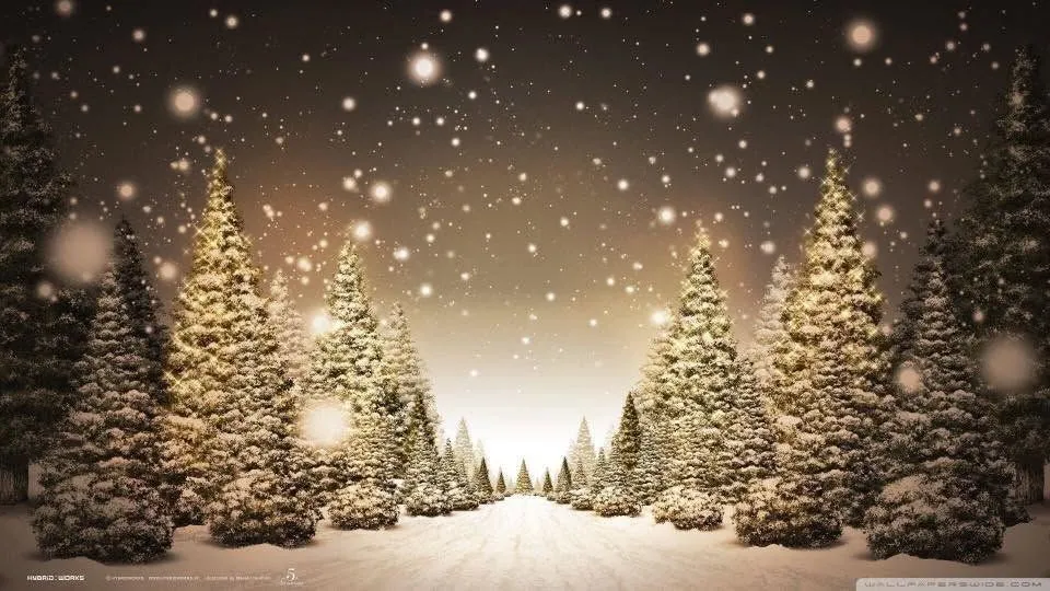Traditional Christmas Market 2026