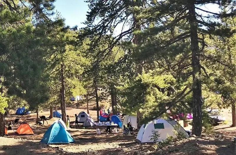 Πρώτο Φετινό κάμπινγκ Τροόδους με εύκολες πεζοπορίες και υπαίθριες δραστηριότητες.