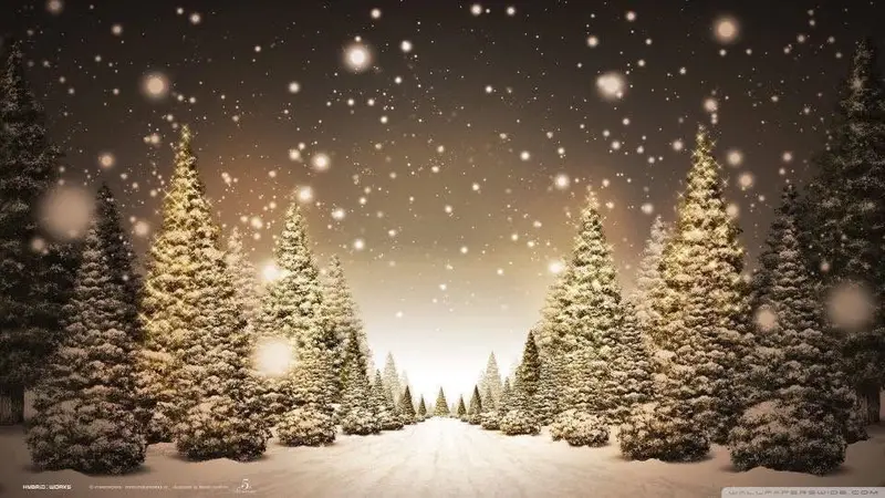 Traditional Christmas Market 2026