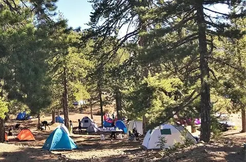 Πρώτο Φετινό κάμπινγκ Τροόδους με εύκολες πεζοπορίες και υπαίθριες δραστηριότητες.