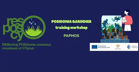 Diver training - Posidonia oceanica transplantation: Paphos