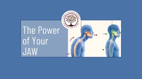🦷 The Power of Your Jaw