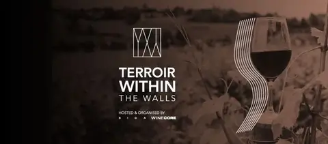 Terroir within the Walls – Andamoma of Cyprus Wine & Gastronomy