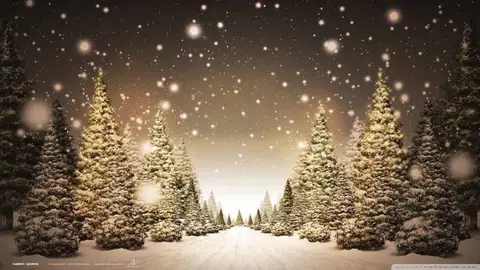 Traditional Christmas Market 2026